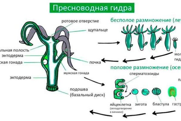 Рабочее зеркало кракен